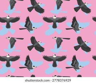 Canada Jay Bird Flying Pattern Background Wallpaper Vector