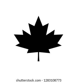 canada leaf icon vector symbol