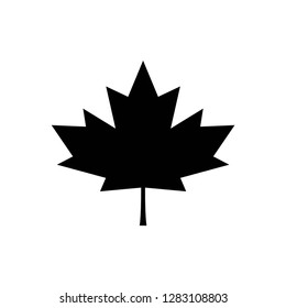 canada leaf icon vector symbol