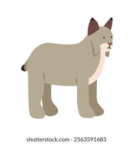 Canada lynx cartoon clipart. Lynx vector illustration in flat style. Hand-drawn wild animal concept