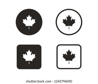 Canada maple icon sign symbol