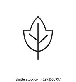 Canada Maple Leaf Minimal Flat Line Outline Stroke Icon Pictogram Symbol. Maple icon vector. Trendy flat maple icon from nature collection isolated on white background.