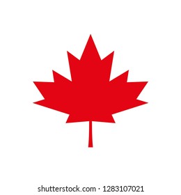 canada red leaf icon vector symbol
