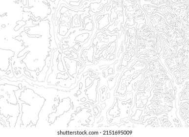 Canada Topographic Map, Contour Vector Background.