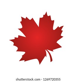 Canada vector symbol,Maple leaf vector icon.Red - Vector,illustration.