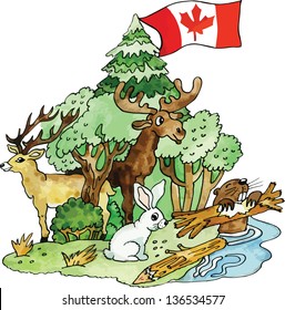 Canadian animals vector illustration