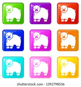 Canadian bear icons set 9 color collection isolated on white for any design
