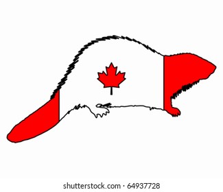 Canadian Beaver