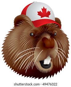 Canadian beaver in the cap with a maple leaf, head in vector