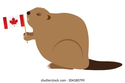 The Canadian Beaver Holding Canada Flag Color Vector Illustration