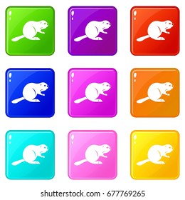 Canadian beaver icons of 9 color set isolated vector illustration