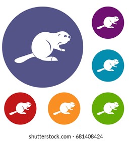 Canadian beaver icons set in flat circle red, blue and green color for web