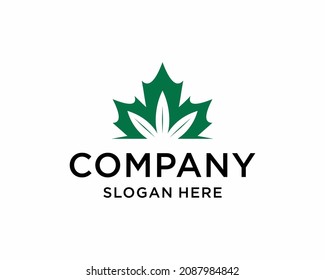 canadian cannabis logo vector icon illustration for hemp leaf dispensaries and company from canada