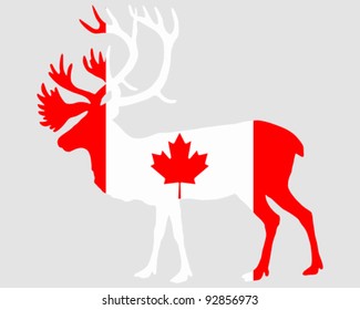 Canadian Caribou