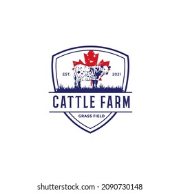 Canadian cattle farm logo design. Cow vector illustration. Emblem and badge logi style