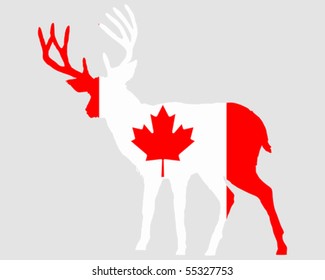 Canadian deer