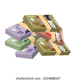 Ilustración del vector del dólar canadiense. Canadiense Money Set Bundle Billetes. Dinero en papel 10, 20, 50, 100 CAD. Estilo plano. Aislado sobre fondo blanco. Diseño sencillo y mínimo.