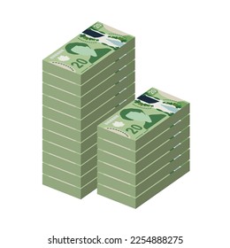 Ilustración del vector del dólar canadiense. Canadiense Money Set Bundle Billetes. Dinero en papel 20 CAD. Estilo plano. Aislado sobre fondo blanco. Diseño sencillo y mínimo.