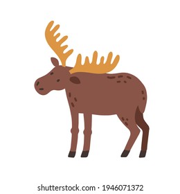 Canadian elk with horns. Scandinavian horny moose. Nordic wild animal. Colored flat vector illustration of Swedish fauna isolated on white background