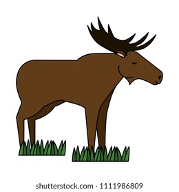 Canadian elk wild icon