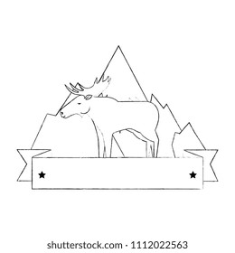 Canadian elk wild with mountains