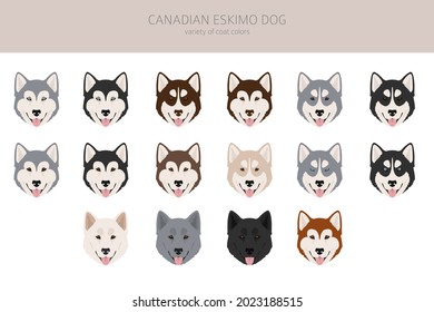 Canadian Eskimo dog clipart. Different poses, coat colors set.  Vector illustration