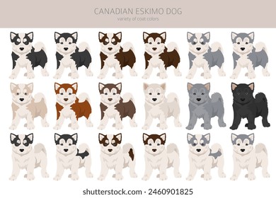 Clipart canadiense de perro esquimal. Diferentes poses, colores de la capa establecidos.  Ilustración vectorial