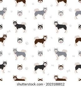 Canadian Eskimo dog seamless pattern. Different poses, coat colors set.  Vector illustration