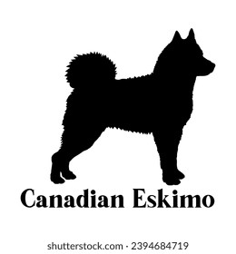 Canadian Eskimo Dog silhouette dog breeds logo dog monogram logo dog face vector