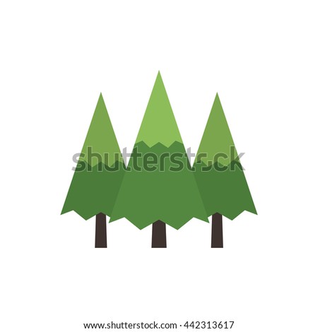 Canadian evergreen tree
