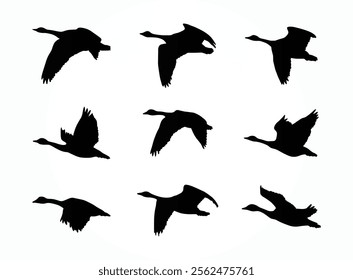 Canadian geese silhouettes vector art