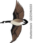 Canadian Goose in Flight Vector Illustration