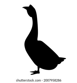 Canadian Goose Vector Illustration, Black Silhouette  , Side View