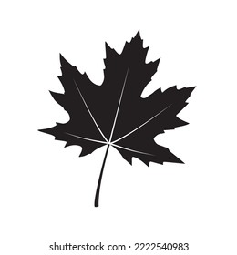 Vector de hojas de otoño de icono canadiense