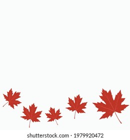 canadian leaves on red background