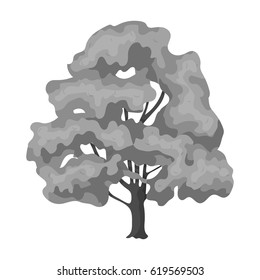 Canadian maple. Canada single icon in monochrome style vector symbol stock illustration web.