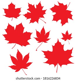 Canadian Maple leaf Bundle vector silhouette Design Vector pack black and white SVG Sticker graphics