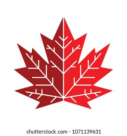 A Canadian maple leaf design with two different tones of red in vector format.