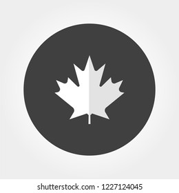 Canadian Maple Leaf flat icon. Vector Illustration