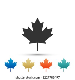 Canadian maple leaf icon isolated on white background. Canada symbol maple leaf. Set elements in colored icons. Flat design. Vector Illustration