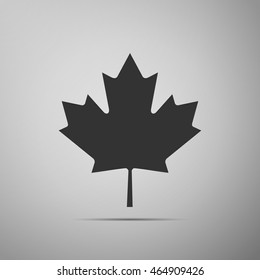 Canadian Maple Leaf icon on grey background. 