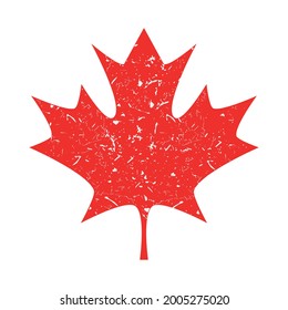 Hoja de arce canadiense sobre el fondo