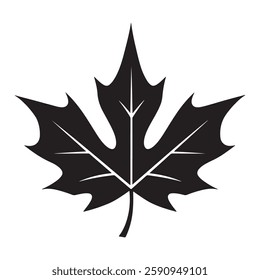 Canadian maple leaf silhouette vector illustration