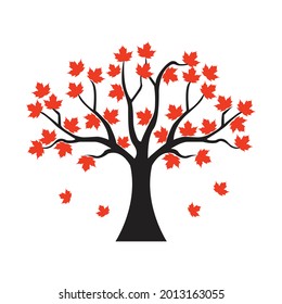 Canadian maple tree, image for coloring on a white background, Vector illustration