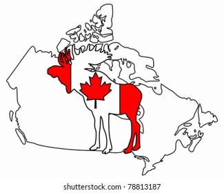 Canadian moose