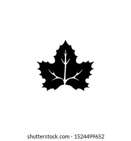 Canadian National Maple Leaf. Flat Vector Icon illustration. Simple black symbol on white background. Canadian National Maple Leaf sign design template for web and mobile UI element