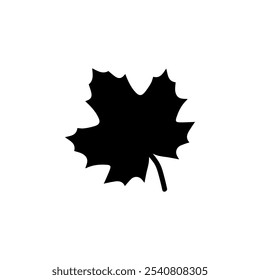 Icono de Vector plano sólido de hoja de arce nacional canadiense aislado sobre fondo blanco.