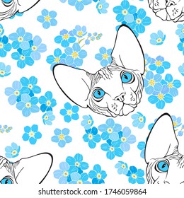 Kanadische Sphinx, Katzengesicht und Vergessennots.  Nahtloses Muster auf weiß. Handgezeichnete Vektorgrafik. Hintergrund der Tierkunst.