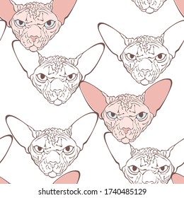 Esfinge canadiense, cara de gato.  Patrón vectorial sin foco sobre blanco. Ilustración vectorial dibujada a mano. Fondo de arte animal.
