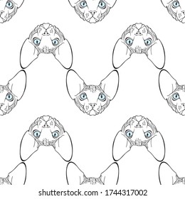 Canadian Sphinx, cat face.  Seamless  pattern on white. Hand-drawn vector illustration. Animal art background.